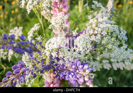 Wildblumen Bouquet, Blumen, Dorf, Landschaft, Stockfoto