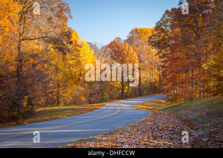 Herbstfarben entlang der historischen Natchez Trace Parkway, Tennssee, USA Stockfoto