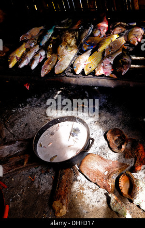 Tropische Fische in einer Küche in Carti Sugtupu Island Village durch Guna Eingeborenen als Kuna in der "Comarca" (Region) der Guna Yala im Archipel von San Blas Blas Inseln im Nordosten von Panama mit Blick auf das Karibische Meer bekannt gegeben. Stockfoto