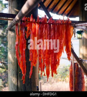 Fleisch wird geschnitten und gehängt zum Trocknen im Freien in der lodge Stockfoto