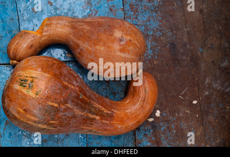 Deformierte Papaya zum Verkauf auf dem Markt Republik Panama Stockfoto