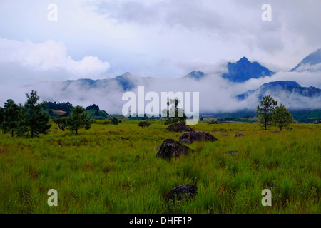 Am frühen Morgennebel deckt Volcan Baru in der Provinz Chiriqui Republik Panama Stockfoto