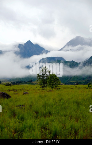 Am frühen Morgennebel deckt Volcan Baru in der Provinz Chiriqui Republik Panama Stockfoto