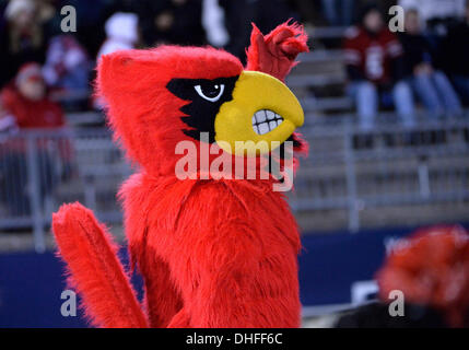 East Hartford, CT, USA. 8. November 2013. Freitag, 8. November 2013: The Louisville cardinal Maskottchen jubelt das Team auf während der 2. Hälfte der NCAA Football-Spiel zwischen Louisville und Connecticut bei Rentschler Field in East Hartford, CT. Bill Shettle / Cal Sport Media/Alamy Live News Stockfoto