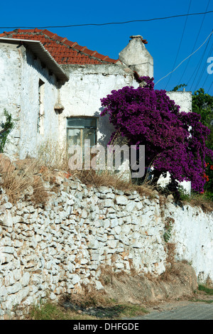 Asien, Ägypten, Provinz Mugla, Resadiye-Halbinsel (Datca-Halbinsel), Yaziköy, Belen Mahallesi Stockfoto