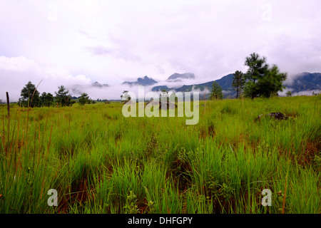 Am frühen Morgennebel deckt Volcan Baru in der Provinz Chiriqui Republik Panama Stockfoto