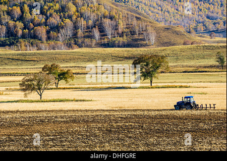 Ein Traktor arbeiten auf dem Bauernhof im Herbst Stockfoto