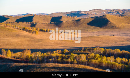 Landschaft von Grünland im Herbst Stockfoto