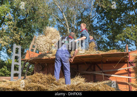 NIEUWEHORNE, Niederlande - 28. September: Bauern laden Heu in einer traditionellen Heuwagen während des landwirtschaftlichen Festivals Flaeijel Stockfoto