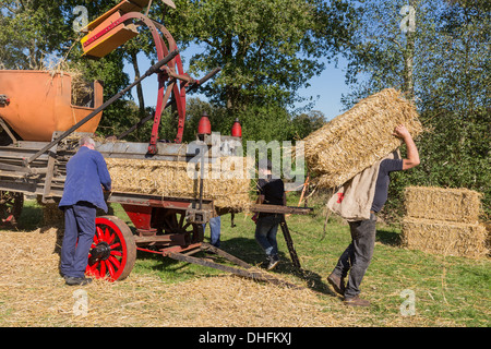 NIEUWEHORNE, Niederlande - 28. September: Landwirte ernten und sammeln Heu während des landwirtschaftlichen Festivals Flaeijel Stockfoto