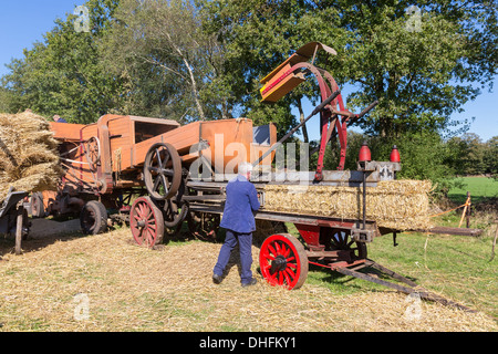 NIEUWEHORNE, Niederlande - 28. September: Landwirte ernten und sammeln Heu während des landwirtschaftlichen Festivals Flaeijel Stockfoto