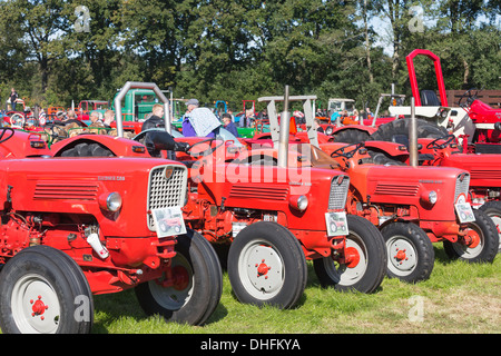 Nieuwehorne, Niederlande - 28.September: Ausstellung von Traktoren während der landwirtschaftlichen Festival flaeijel Stockfoto