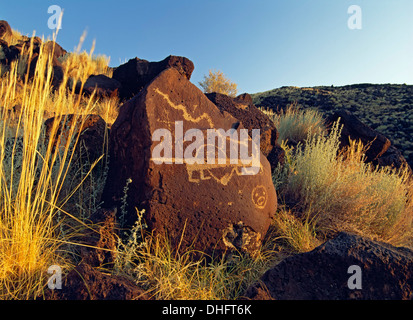 Petroglyphen, Rinconada Canyon, Petroglyph Nationalmonument, Albuquerque, New Mexico, Vereinigte Staaten Stockfoto