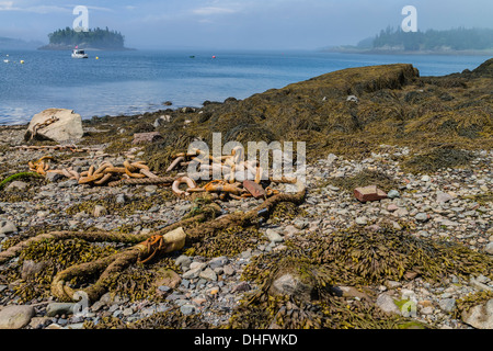 Eine Ankerkette befestigt an einem großen Felsbrocken liegt auf einem auf felsigen Küstenstreifen an Lubec Maine. Stockfoto