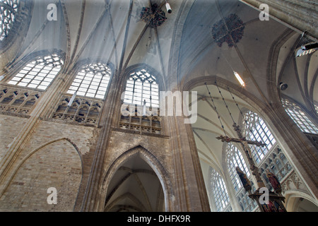 LEUVEN, Belgien - SEPTEMBER 3: Querschiff der Kathedrale St. Peters und Strahlen der Morgensonne Stockfoto