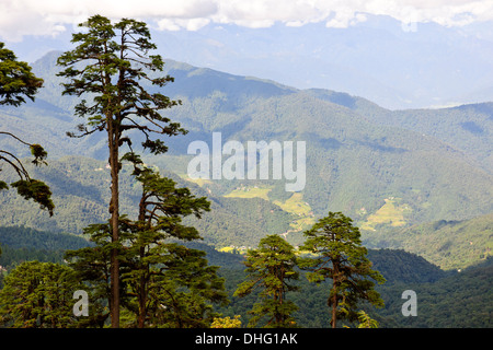 Dochula Pass, 3140 mt, Sammlung von 108 Chörten, tolle Aussicht auf die umliegenden bhutanesischen Himalaya im Winter können Sie von hier aus sehen. Stockfoto