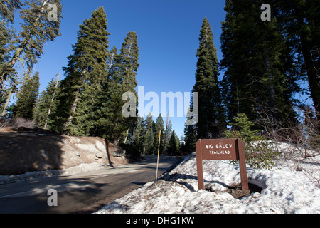 Großen Baldy Trailhead Zeichen, Generals Highway, Sequoia National Park Stockfoto