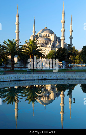 Blaue Moschee spiegelt sich am Pool, Istanbul, Türkei Stockfoto