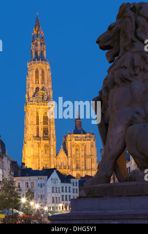 Antwerpen - Kathedrale unserer lieben Frau mit dem Löwenstatue und Suikerrui Straße am Abend Dämmerung Stockfoto