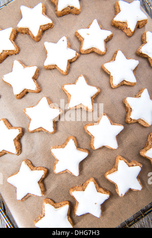 Frische hausgemachte Zimt Kekse (Weihnachtsthema) Stockfoto