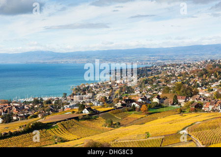 Weinberge in der Region Lavaux - Terrasse de Lavaux, Schweiz Stockfoto