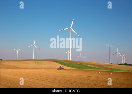 Windturbine und Herbst Felder in Ost-Österreich Stockfoto