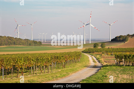 Windturbine und herbstliche Weinberge in Ost-Österreich Stockfoto