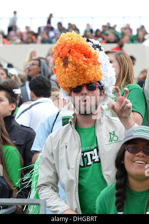 Denton, Texas, USA. 9. November 2013. 9. November 2013: North Texas grün meine Fans jubeln für ihr Team während der NCAA Football-Spiel zwischen UTEP Miners und dem North Texas bedeutet grün Apogee-Stadion in College Station, Texas. UNT gewinnt gegen UTEP, 41-7. © Csm/Alamy Live-Nachrichten Stockfoto