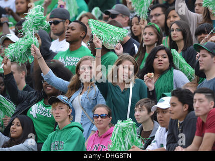 Denton, Texas, USA. 9. November 2013. 9. November 2013: North Texas grün meine Fans jubeln für ihr Team während der NCAA Football-Spiel zwischen UTEP Miners und dem North Texas bedeutet grün Apogee-Stadion in College Station, Texas. UNT gewinnt gegen UTEP, 41-7. © Csm/Alamy Live-Nachrichten Stockfoto