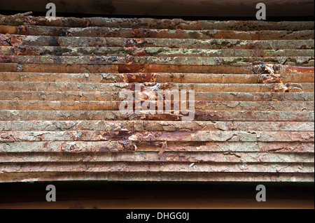 Frisch geschnittene Schnittholz Bäume Planken Sägewerk Stockfoto