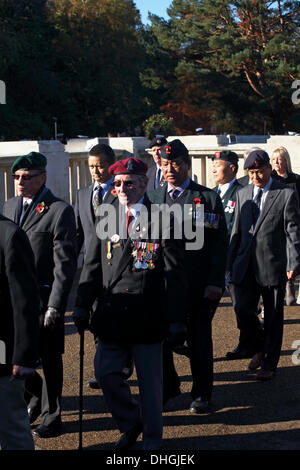 Bournemouth, UK Sonntag, 10. November 2013. Erinnerung Sonntag Parade und Kranzlegung - Vertretern der Streitkräfte, Kräfte Gruppen und Kadetten marschierten durch die Stadt Bournemouth, gefolgt von einem Dienst und Kranzniederlegung am Kriegerdenkmal in zentrale Gärten Credit: Carolyn Jenkins/Alamy Live News Stockfoto