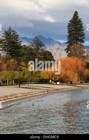 Herbstliche Bäume in Queenstown Bay am Ufer des Lake Wakatipu mit Remarkables hinter in Queenstown, Otago, Südinsel, Neuseeland. Stockfoto