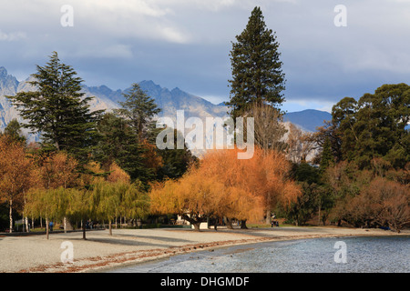 Herbstliche Bäume in Queenstown Bay am Lake Wakatipu Strand mit Remarkables hinter in Queenstown, Otago, Südinsel, Neuseeland. Stockfoto