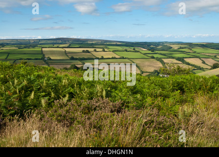 Die Patchwork-Landschaft rund um Exmoor in West Somerset, Großbritannien, UK Stockfoto