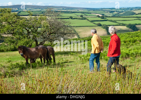 Patchwork-Landschaft gesehen von Winsford Hill auf Exmoor, West Somerset, Großbritannien, UK Stockfoto