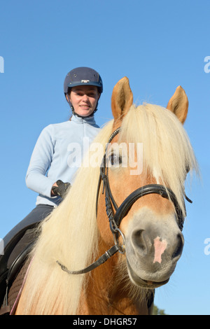 Junge Reiter auf Rückseite ihrem Haflinger-Pferd Stockfoto