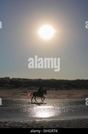 Pferd und Reiter am Strand unter einem großen Wintersonne. Stockfoto
