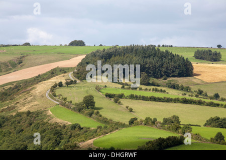 Einen Blick über einen Teil des Clun Waldes in der Nähe von Newcastle und Clun aus der Offa es Dyke Path Shropshire England Stockfoto