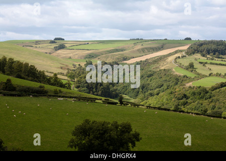 Einen Blick über einen Teil des Clun Waldes in der Nähe von Newcastle und Clun aus der Offa es Dyke Path Shropshire England Stockfoto