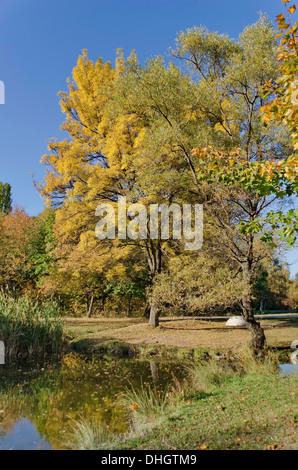 Landschaft im Südpark in Sofia, Bulgarien Stockfoto