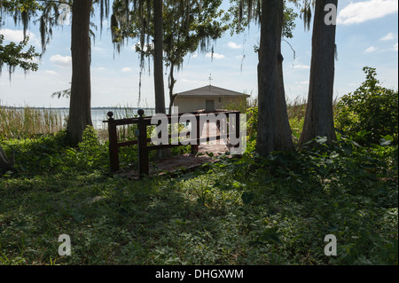 Von den Ufern des Lake Dora befindet sich in Mount Dora, Florida USA Stockfoto