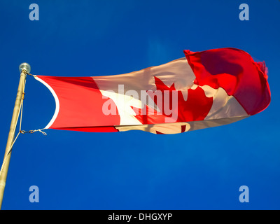 Die Nationalflagge von Kanada im Wind vor blauem Himmel Stockfoto