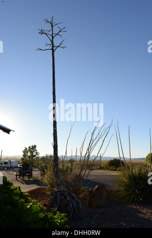 Dramatische Dessert und Canyon Landschaft im Big Bend National Park in Texas, USA Stockfoto
