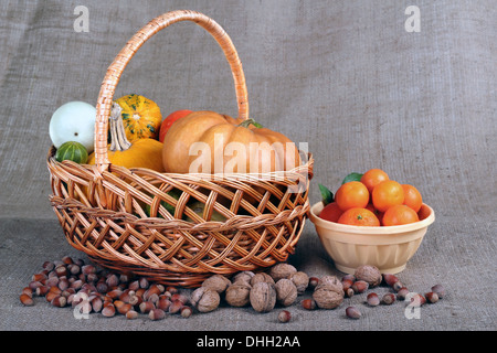 Stillleben mit Zier-Kürbisse und Zapfen zum Erntedankfest Stockfoto