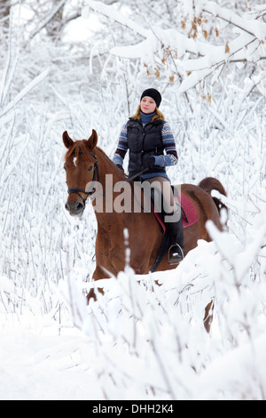 Die Gelassenheit junges Mädchen auf einem Pferd im Winterwald am Weihnachtsmorgen Stockfoto