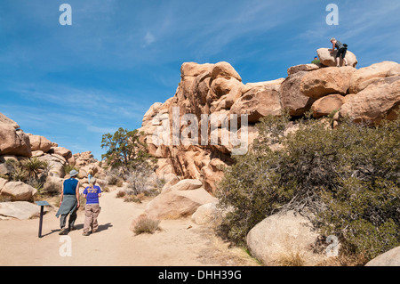 Kalifornien, Joshua Tree Nationalpark, versteckte Talweg Stockfoto