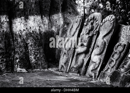 Hindu Altar Steinen abbildenden indische Vishnu Gottheit und Banyan-Baum in einem indischen Dorf. Andhra Pradesh, Indien. Stockfoto