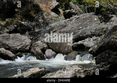 Stromschnellen am Fluss Tywi, RSPB Dinas, Llandovery, zentrale Wales Stockfoto