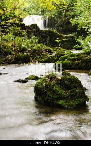 Janets Foss Wasserfall in den Yorkshire Dales Stockfoto