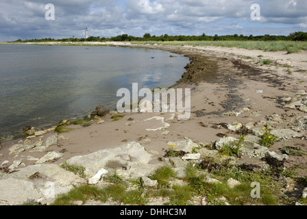 Strand im Nationalpark Vilsandi Stockfoto